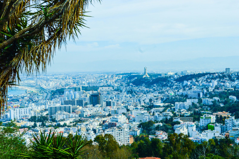 Alger 3