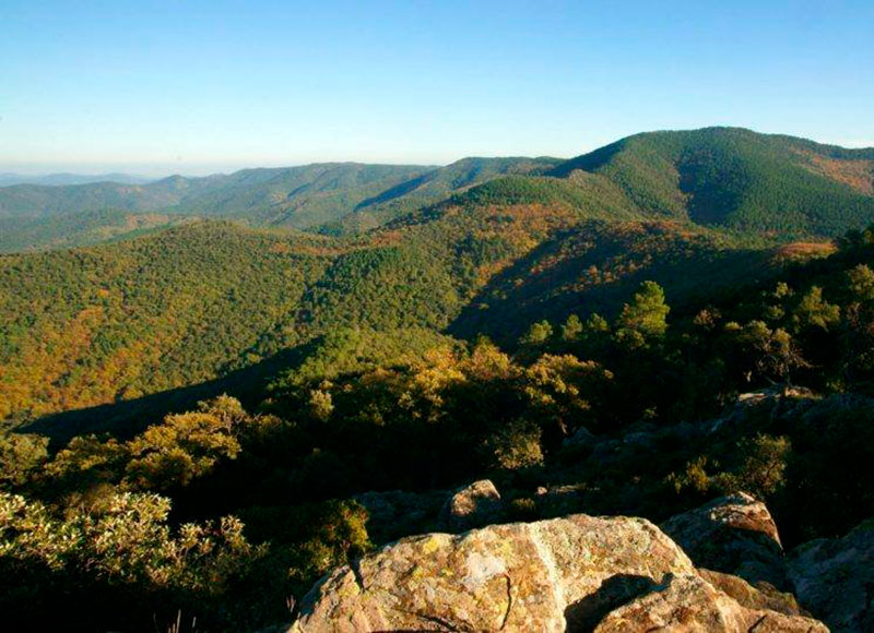 Le Massif des Maures