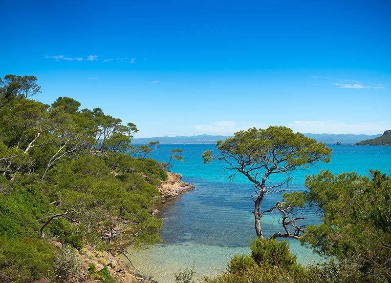 Une nature préservée