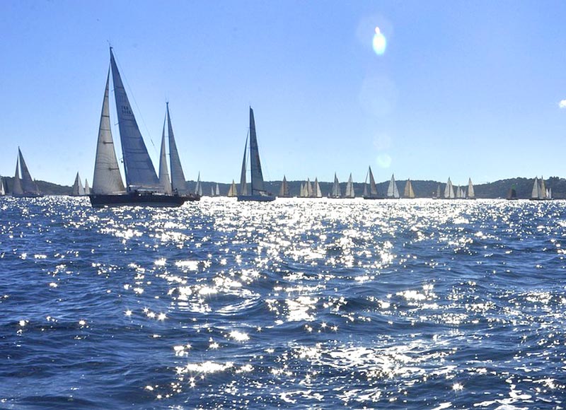 Les Voiles de Saint-Tropez 